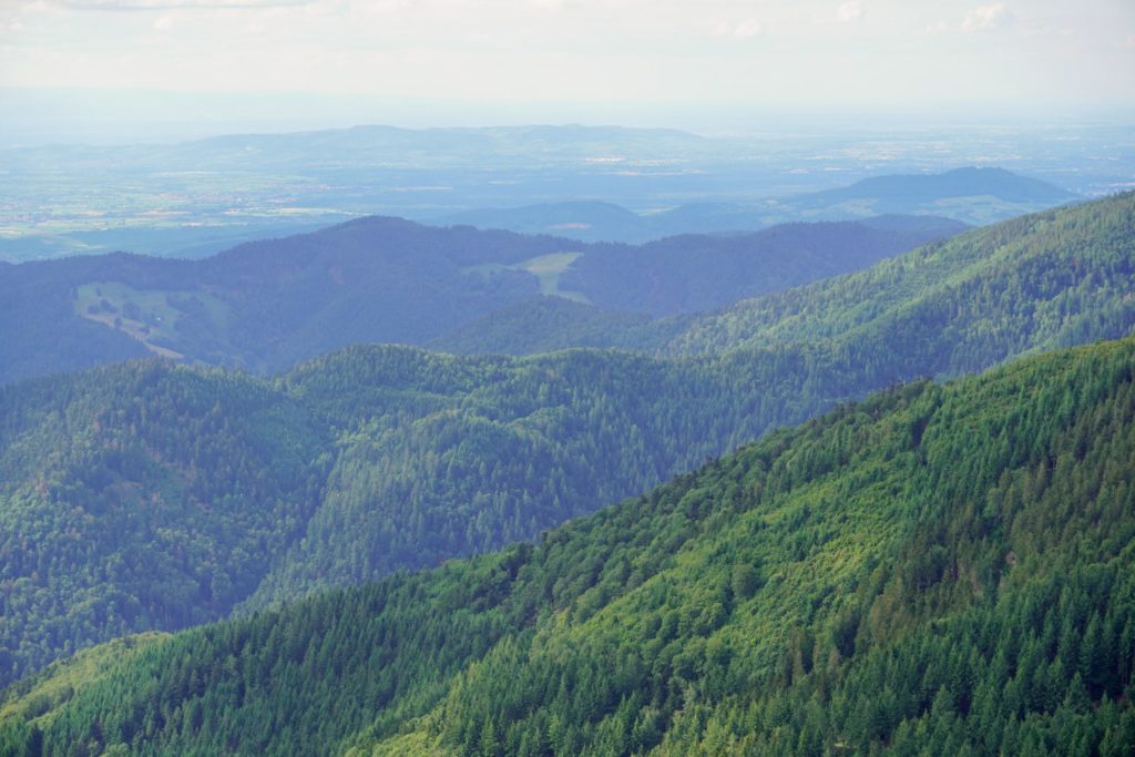 Weite Aussicht im Schwarzwald
