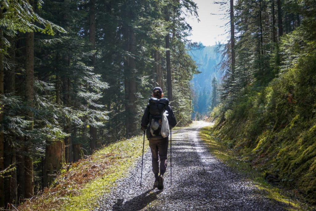 Wanderer im Nationalpark Schwarzwald