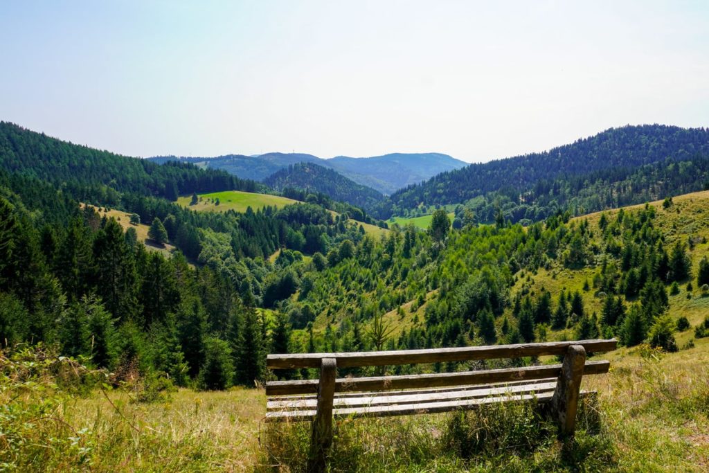 Bank mit Aussicht Schwarzwald