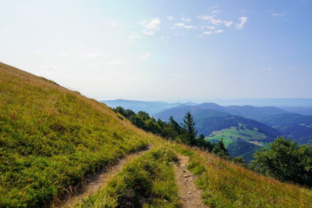 Belchen Wanderung Pfade