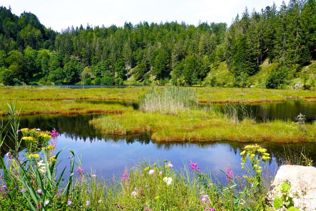 Nonnenmattweiher Rundwanderung