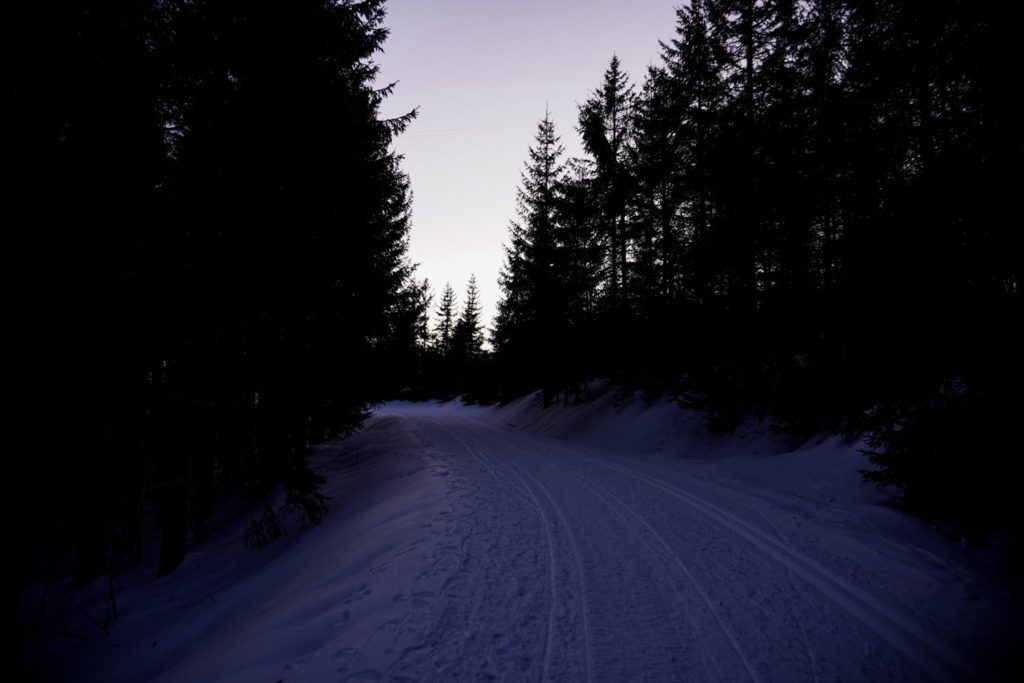 Waldweg Schwarzwald Winter Abends
