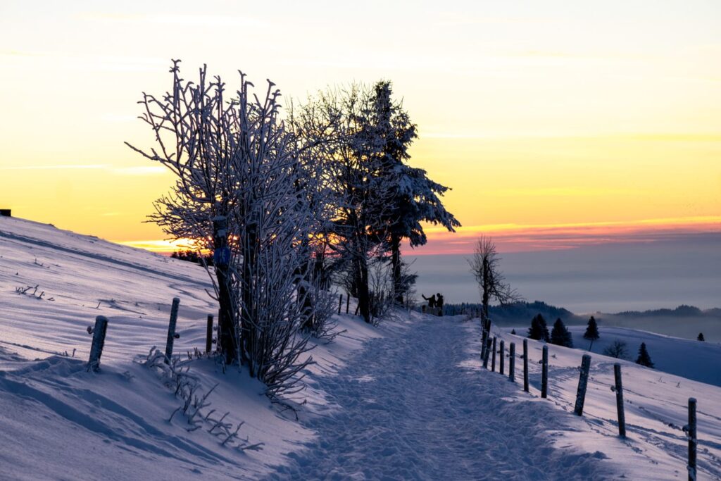 Wanderweg Haldenköpfle Winter