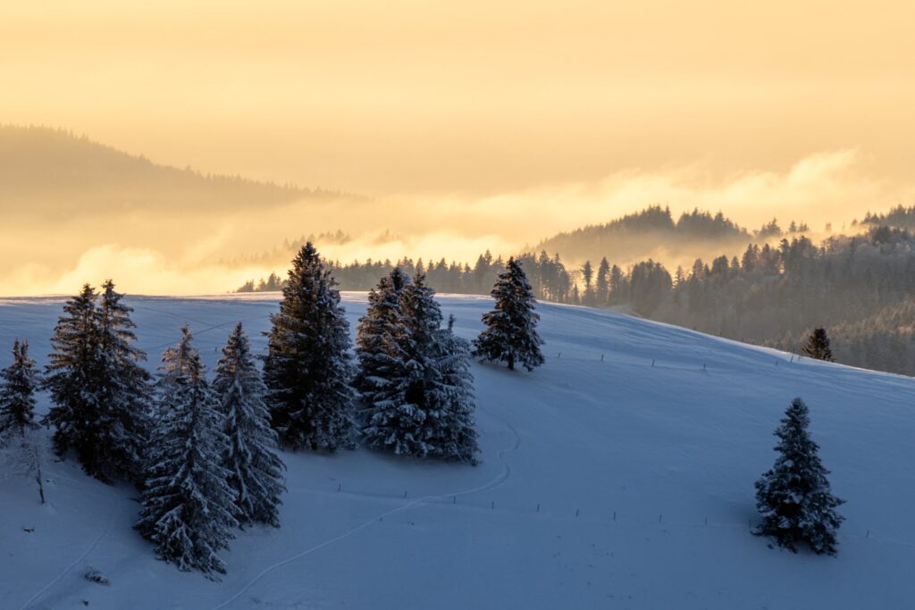 Nebel mit Sonne Haldenköpfle Winterwanderung