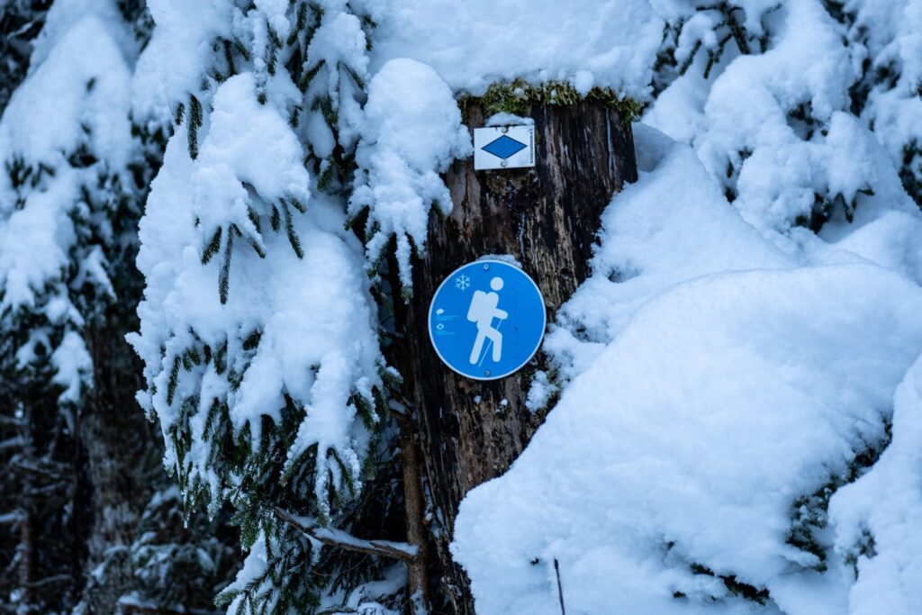 Winterwanderung Markierung Schwarzwald