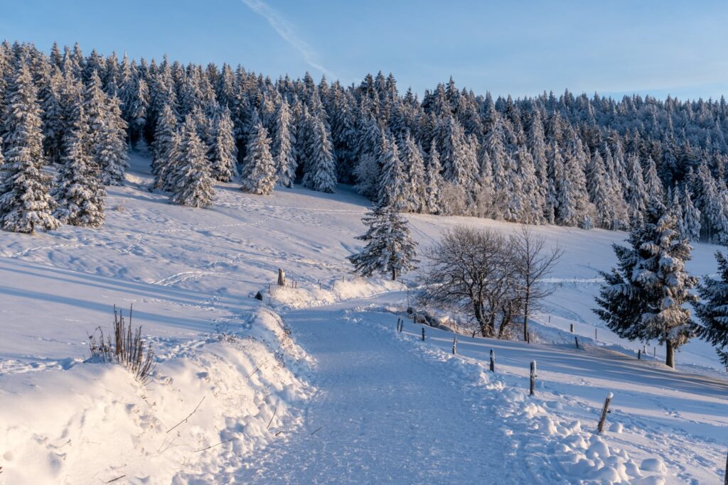 Haldenköpfle Winterwanderung Rundweg