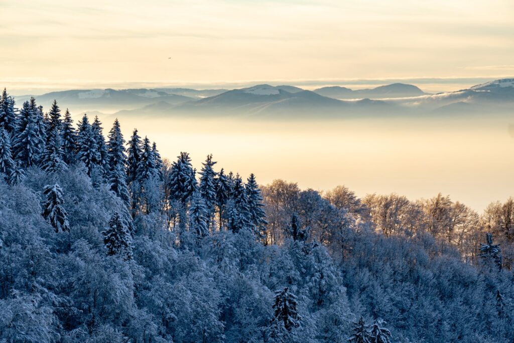 Aussicht von Schwarzwald auf Vogesen mit Nebel