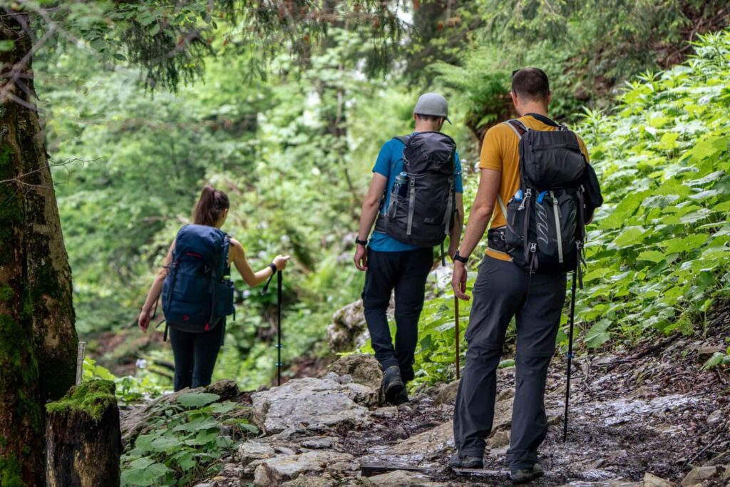 Wanderer im Wald