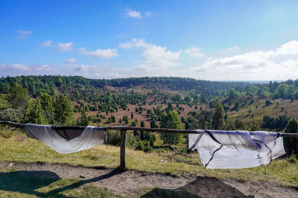Zeltplanen hängen über Zaun vor Heidelandschaft
