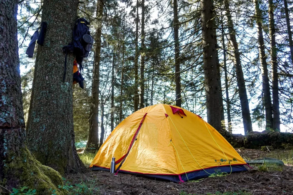 Zelt steht im Wald während Deutschlandwanderung E1