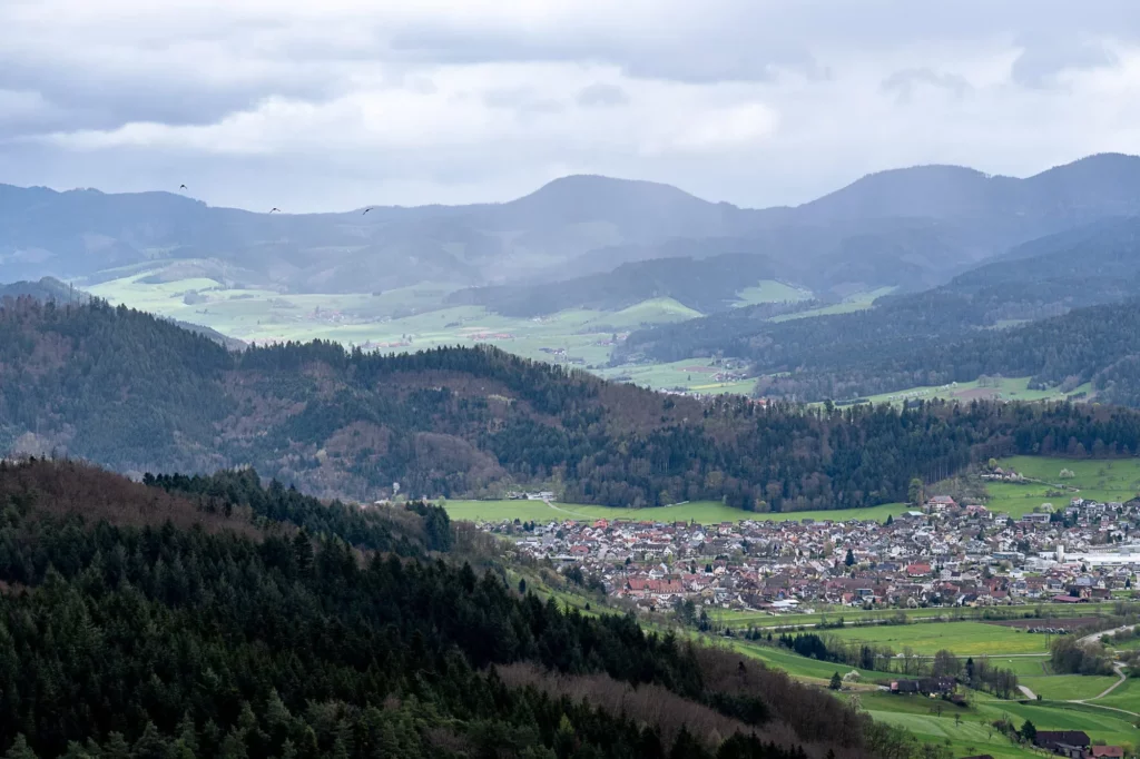 Aussicht auf bewaldetete Hügel und Ortschaft im Tal