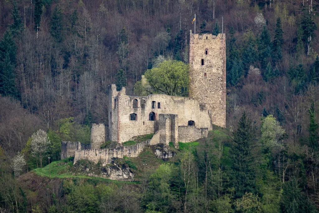 Burgruine in Wald eingebettet