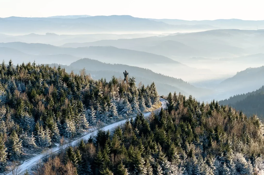 Aussicht von oben auf den Schwarzwald und ein Holzdenkmal