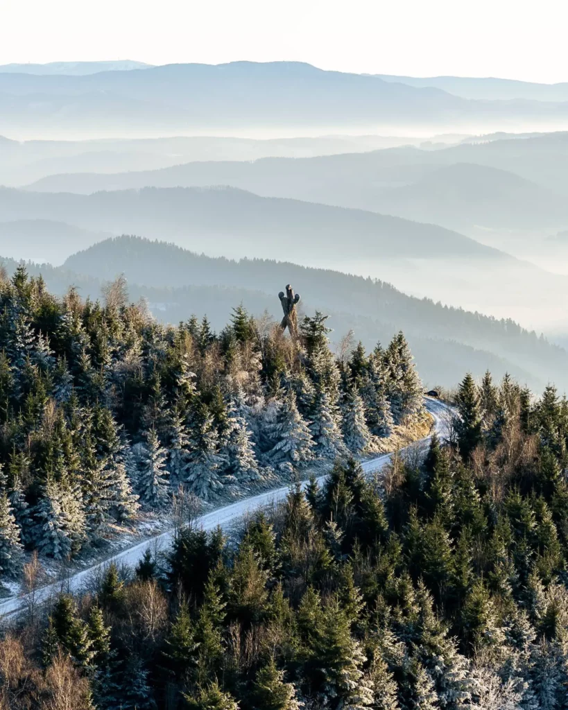 Aussicht von oben auf den Schwarzwald und ein Holzdenkmal