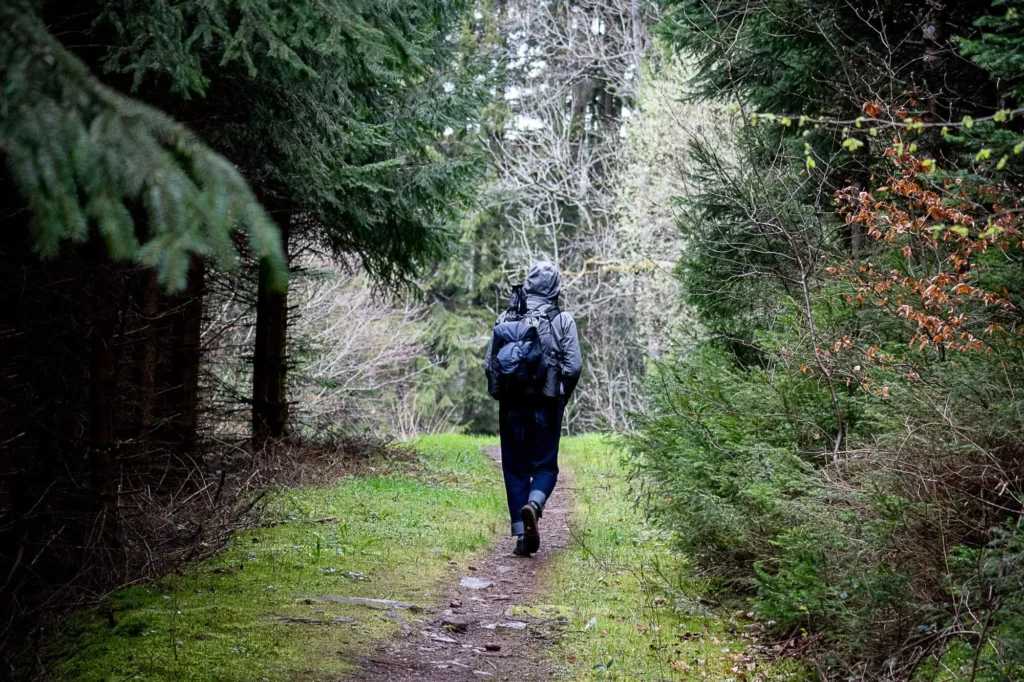 Wanderer läuft im Wald auf Pfad
