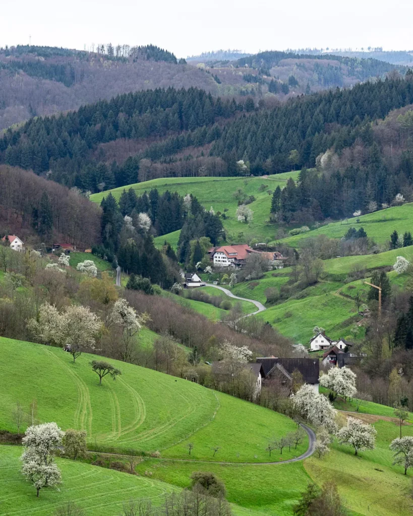 Hügelige Landschaft im Schwarzwald