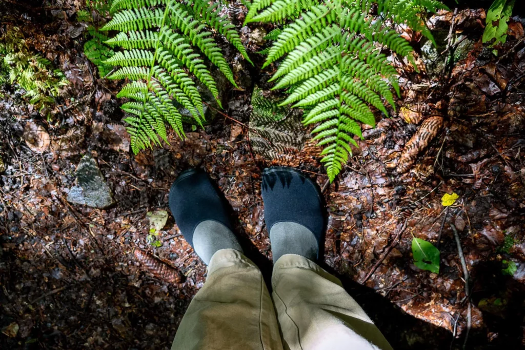 Sockenschuhe im Wald